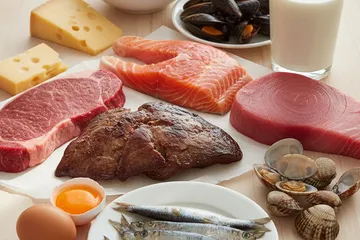 Alimentos con Vitamina B12: Tabla USDA y Plan Vegano
