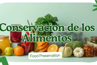 Metodos de Conservacion de Alimentos: Guia Completa