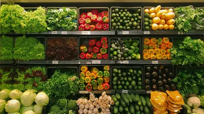 Fuentes de Proteína Económicas en Colombia