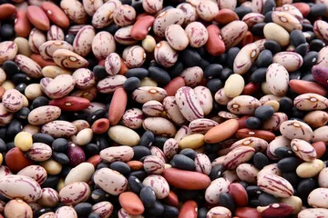 Proteína en Semillas: Chia, Hemp, Calabaza y Mas