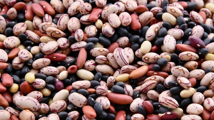 Proteína en Semillas: Chia, Hemp, Calabaza y Mas