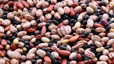 Proteína en Semillas: Chia, Hemp, Calabaza y Mas