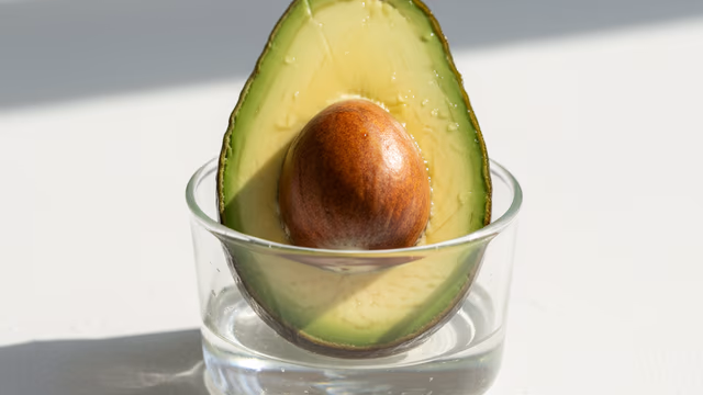 Aguacate