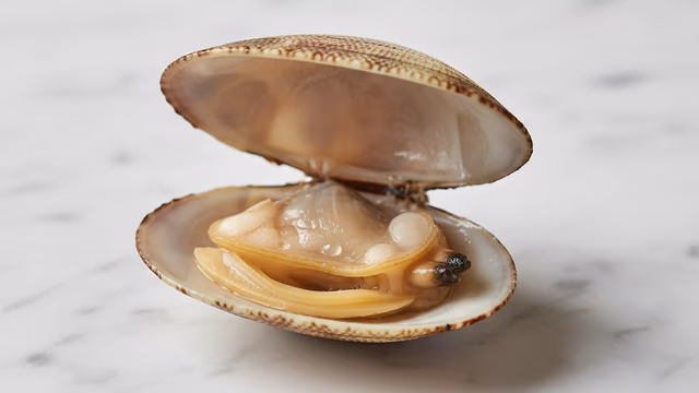 Almeja