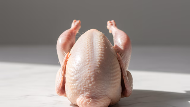 Codorniz