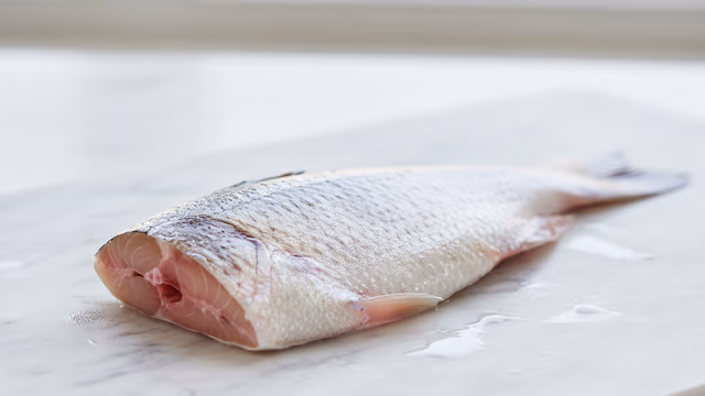 Corvina