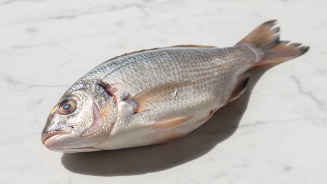 Mojarra