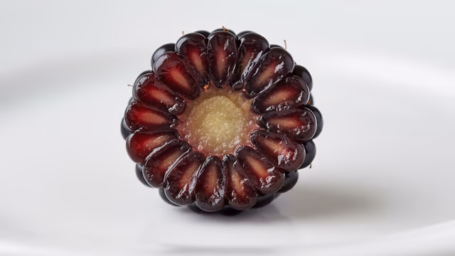 Mora