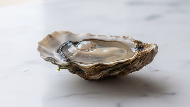 Ostra