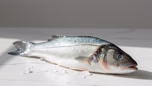 Róbalo